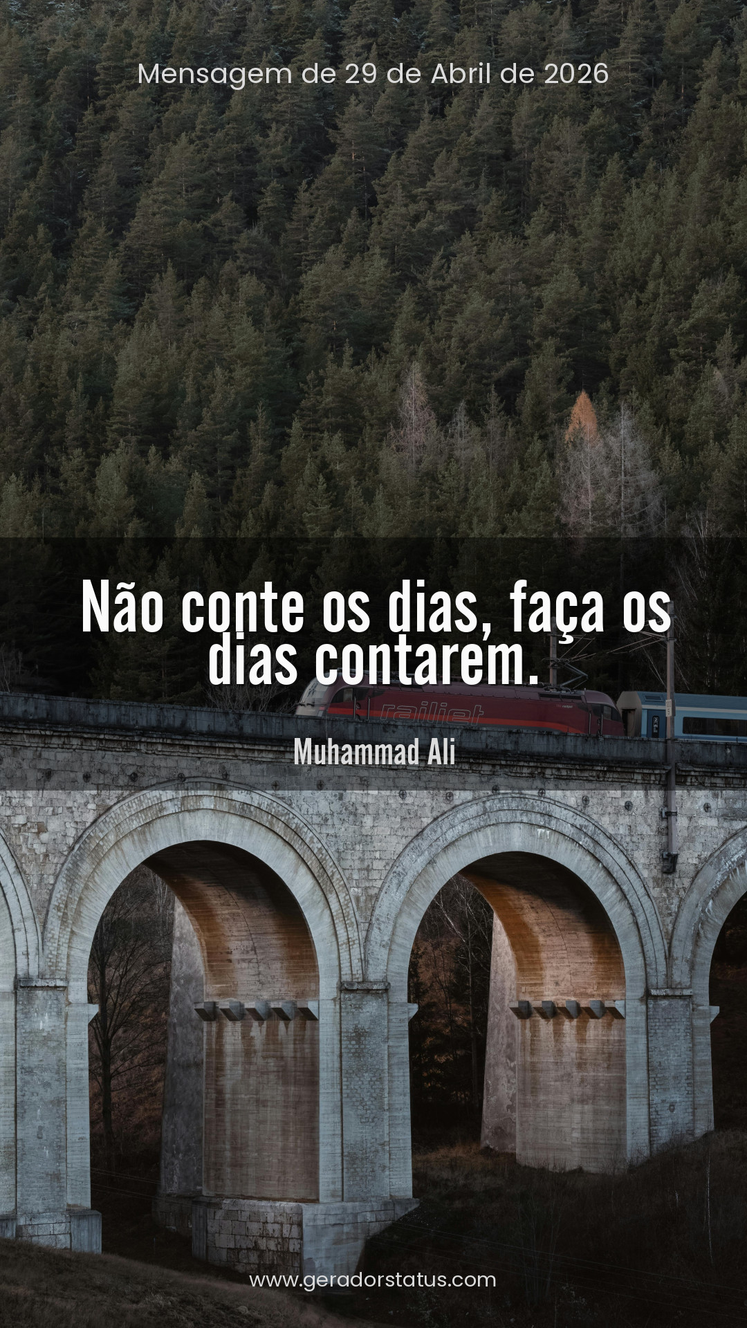 Status do dia: Reflexão