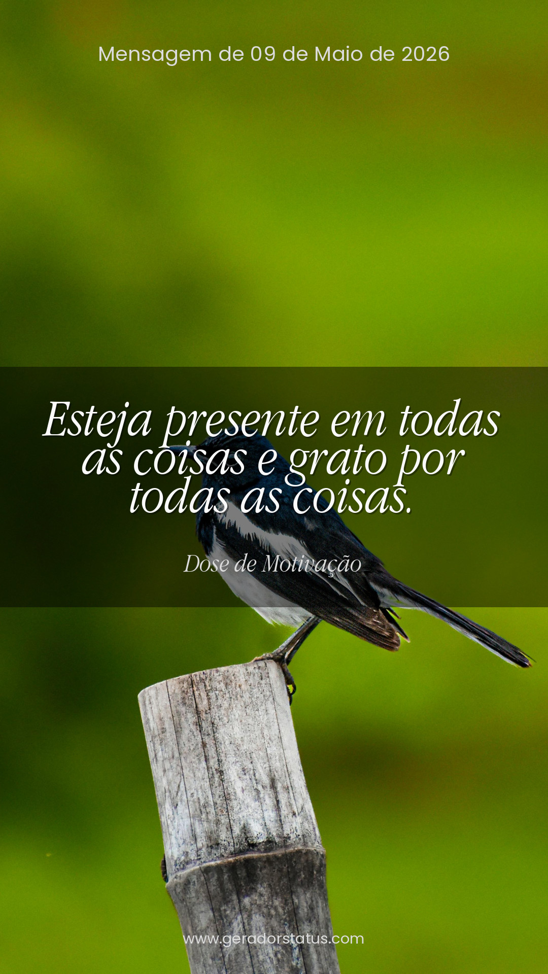 Status do dia: Motivacional