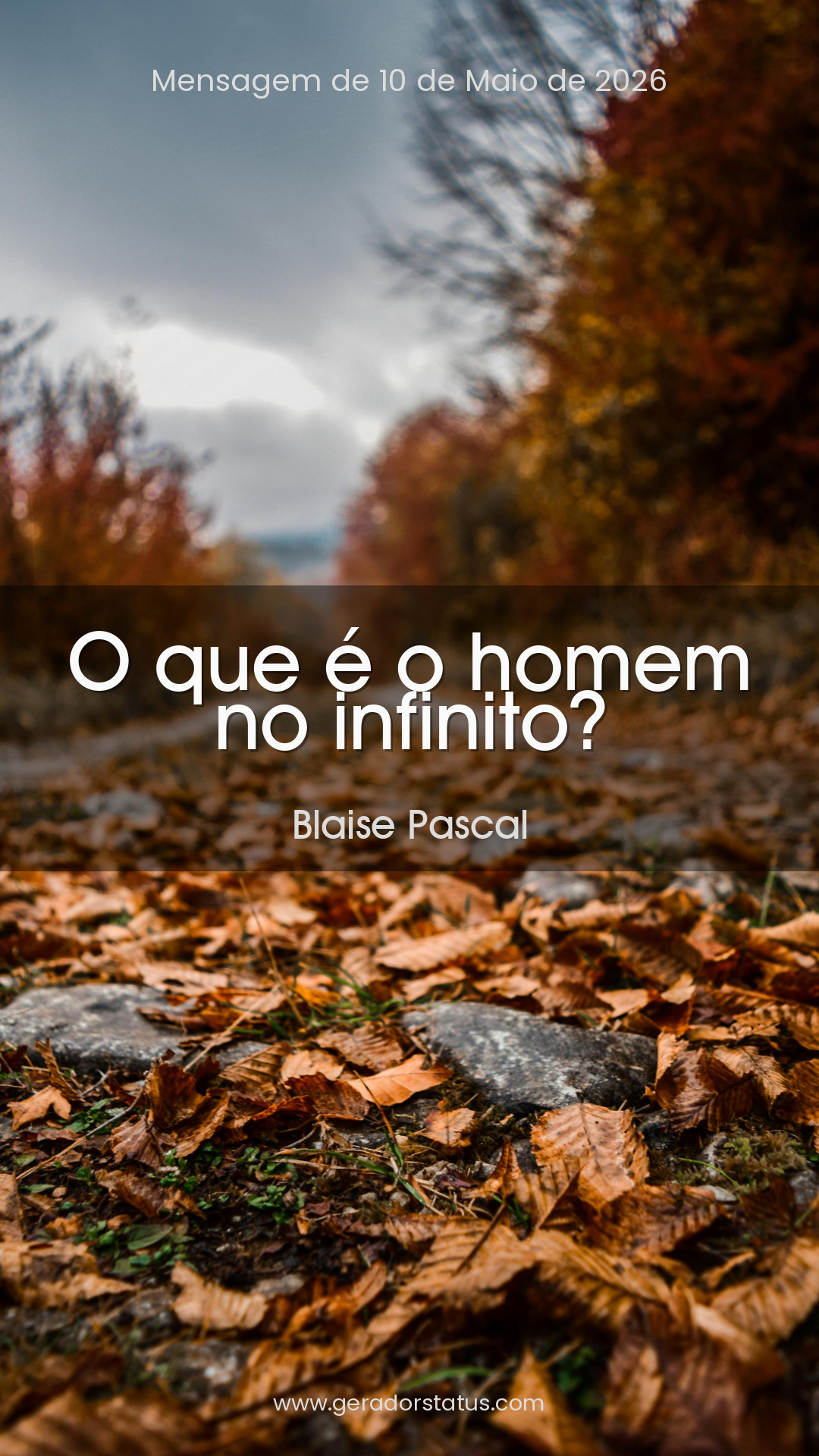 Status do dia: Reflexão