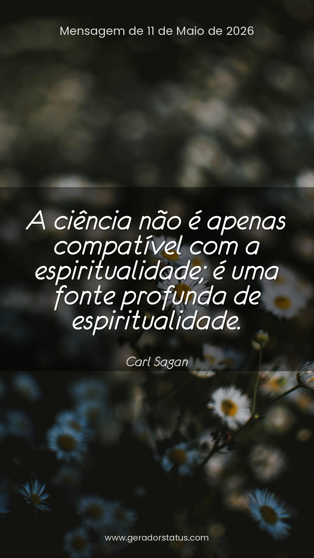 Status do dia: Citação