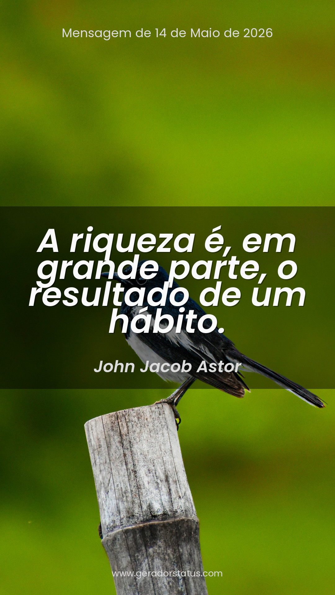 Status do dia: Sabedoria