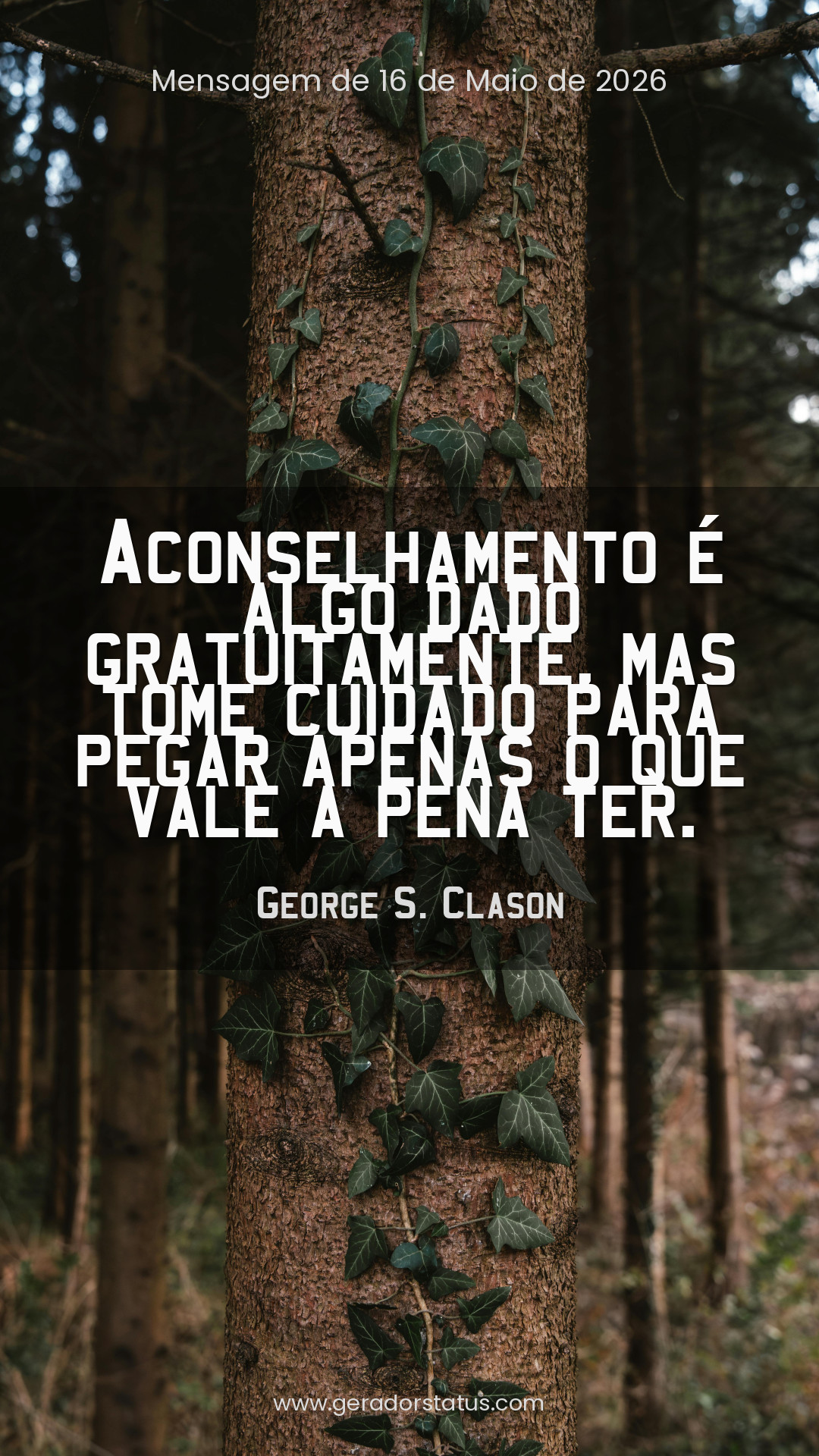 Status do dia: Sabedoria