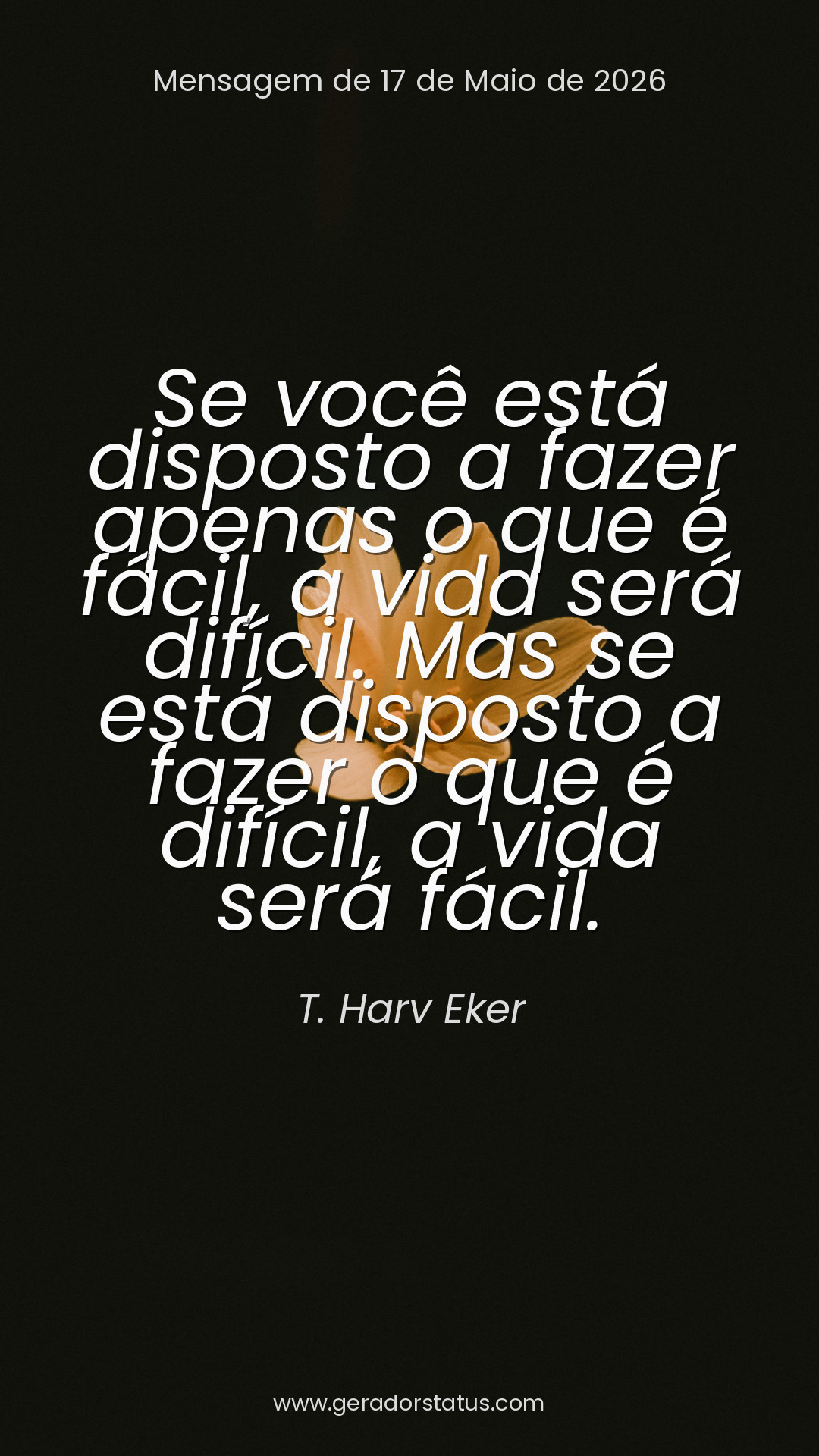 Status do dia: Sabedoria