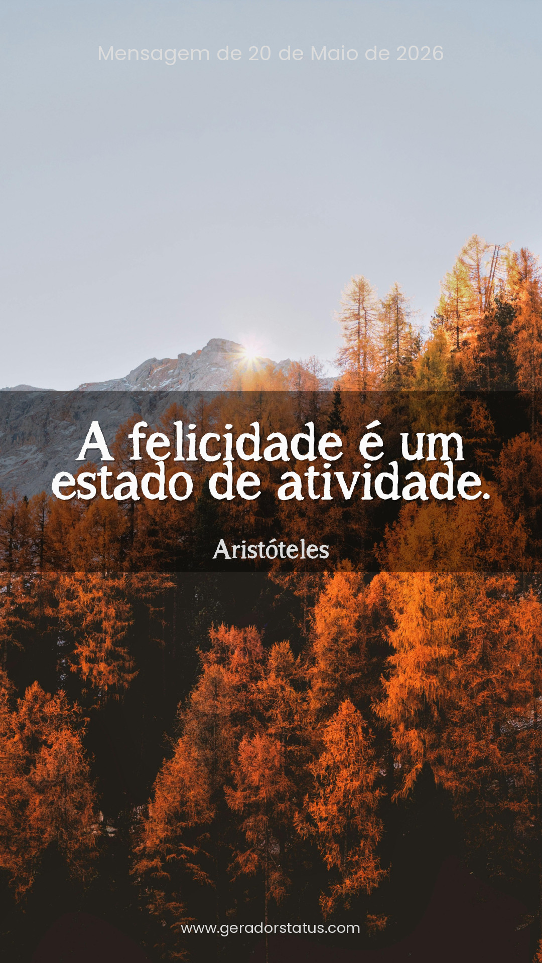 Status do dia: Citação