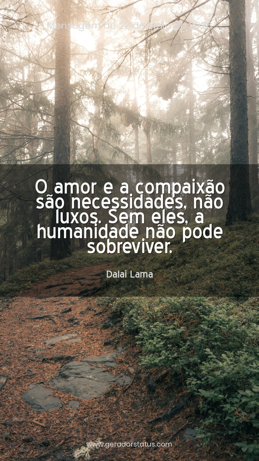 Status do dia: Reflexão