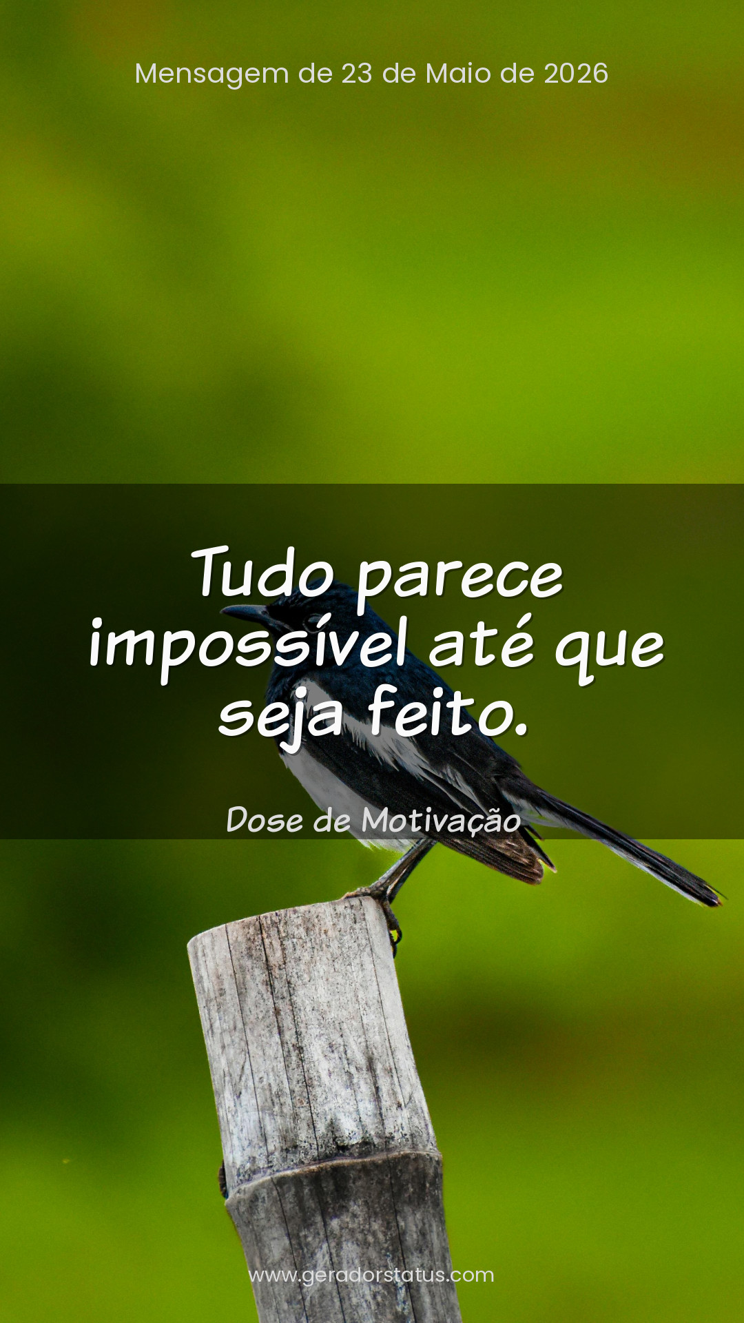 Status do dia: Motivacional