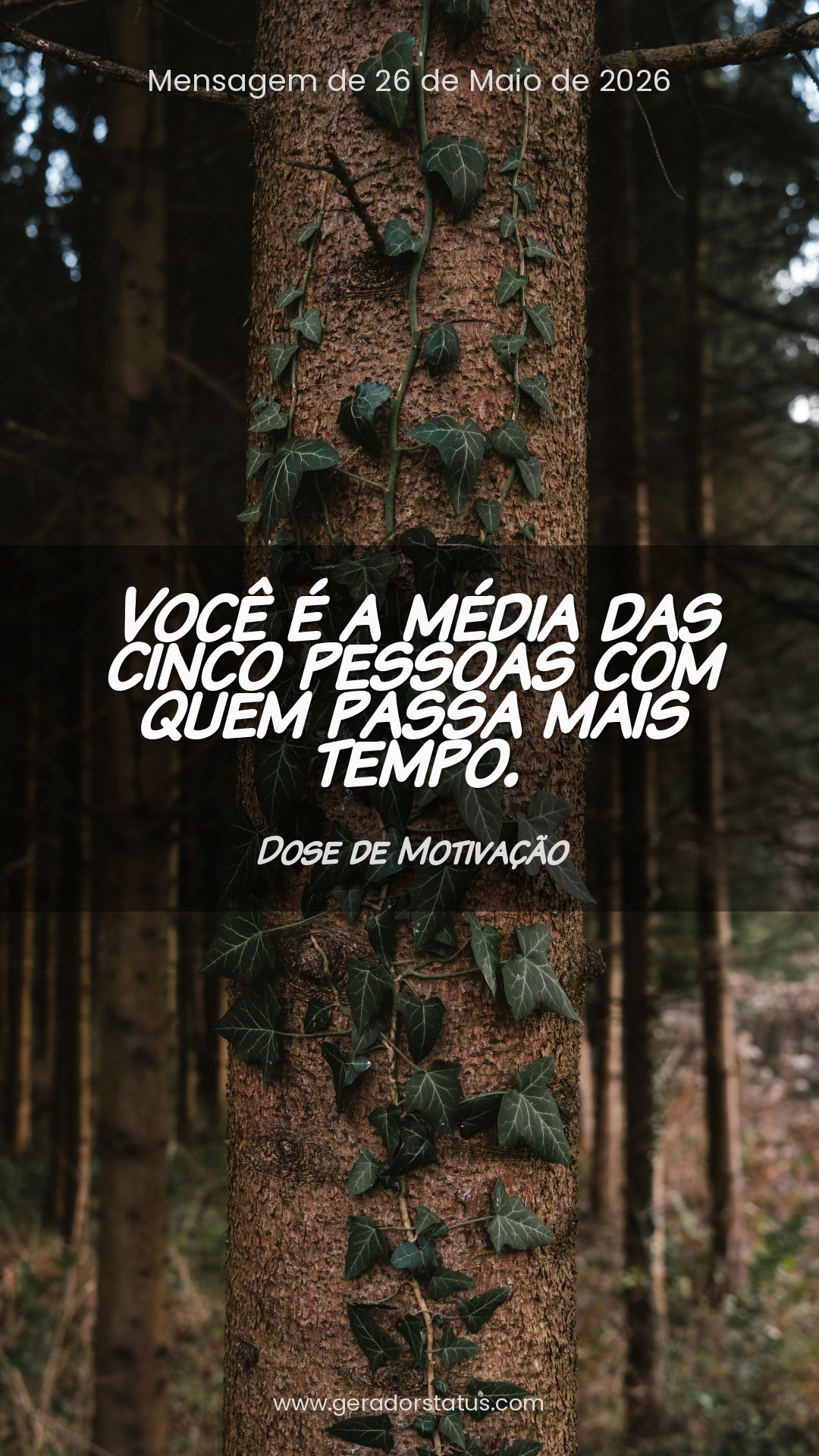 Status do dia: Motivacional