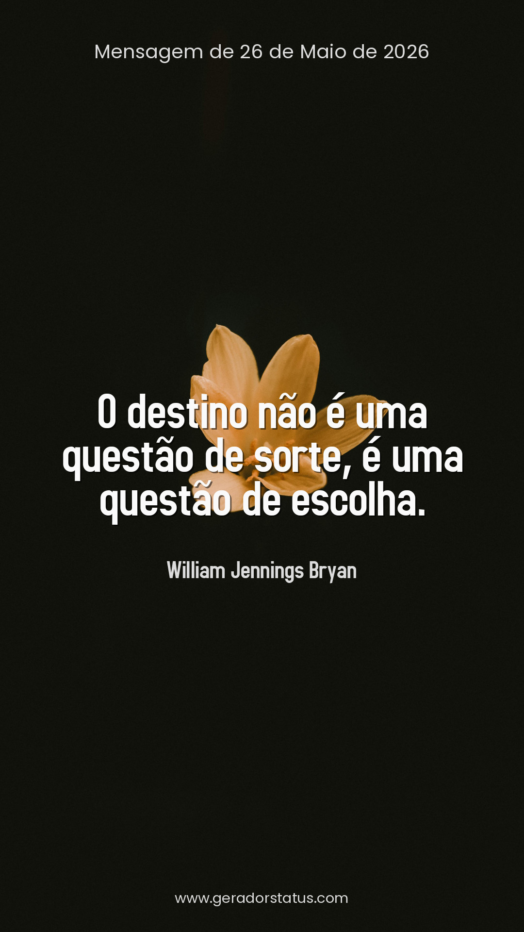 Status do dia: Citação