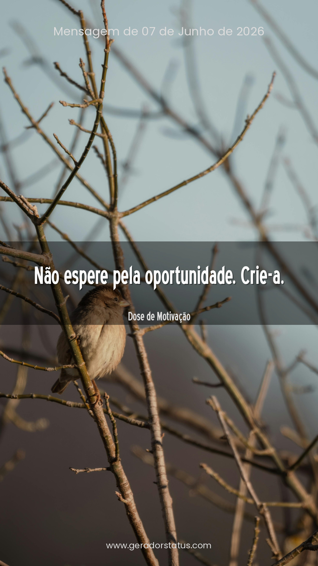 Status do dia: Motivacional