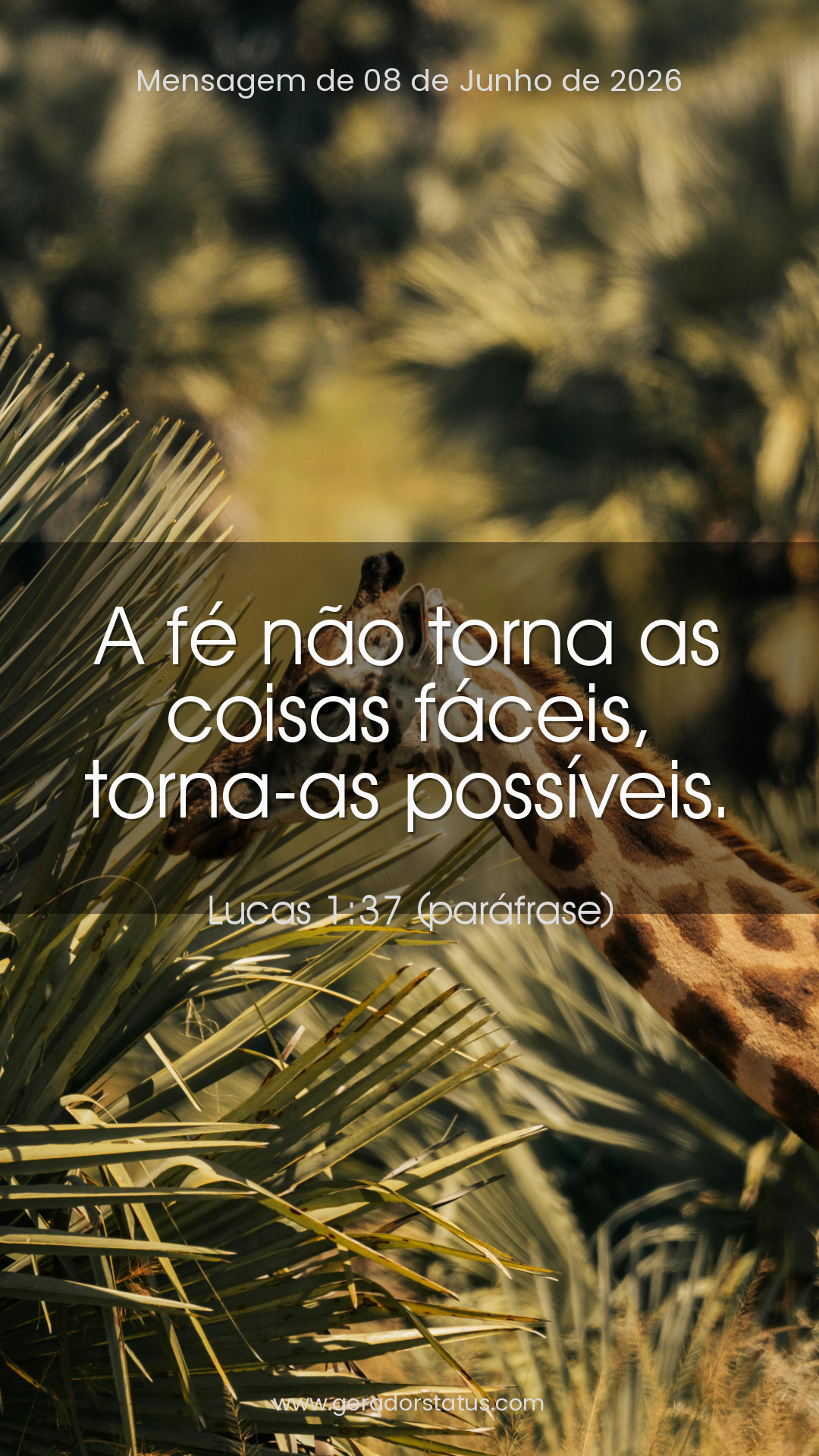Status do dia: Citação