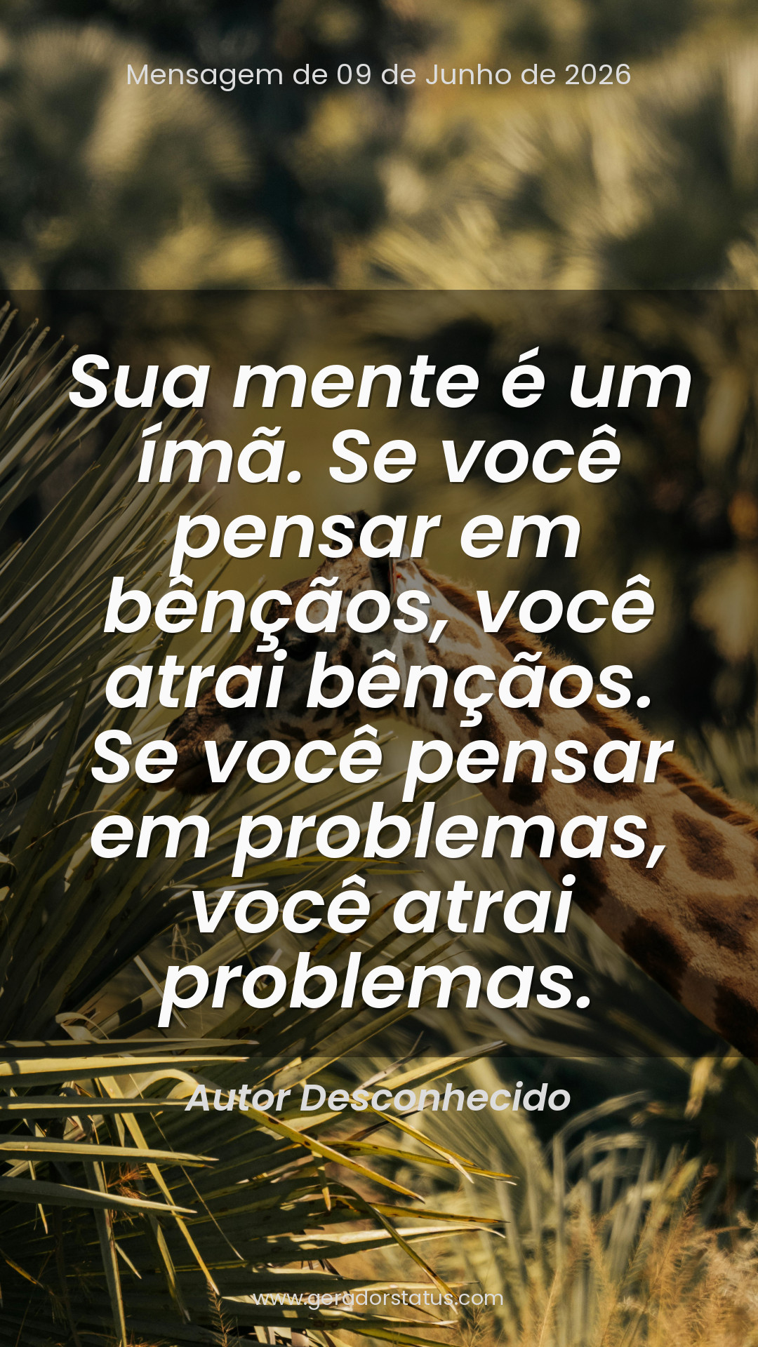 Status do dia: Sabedoria