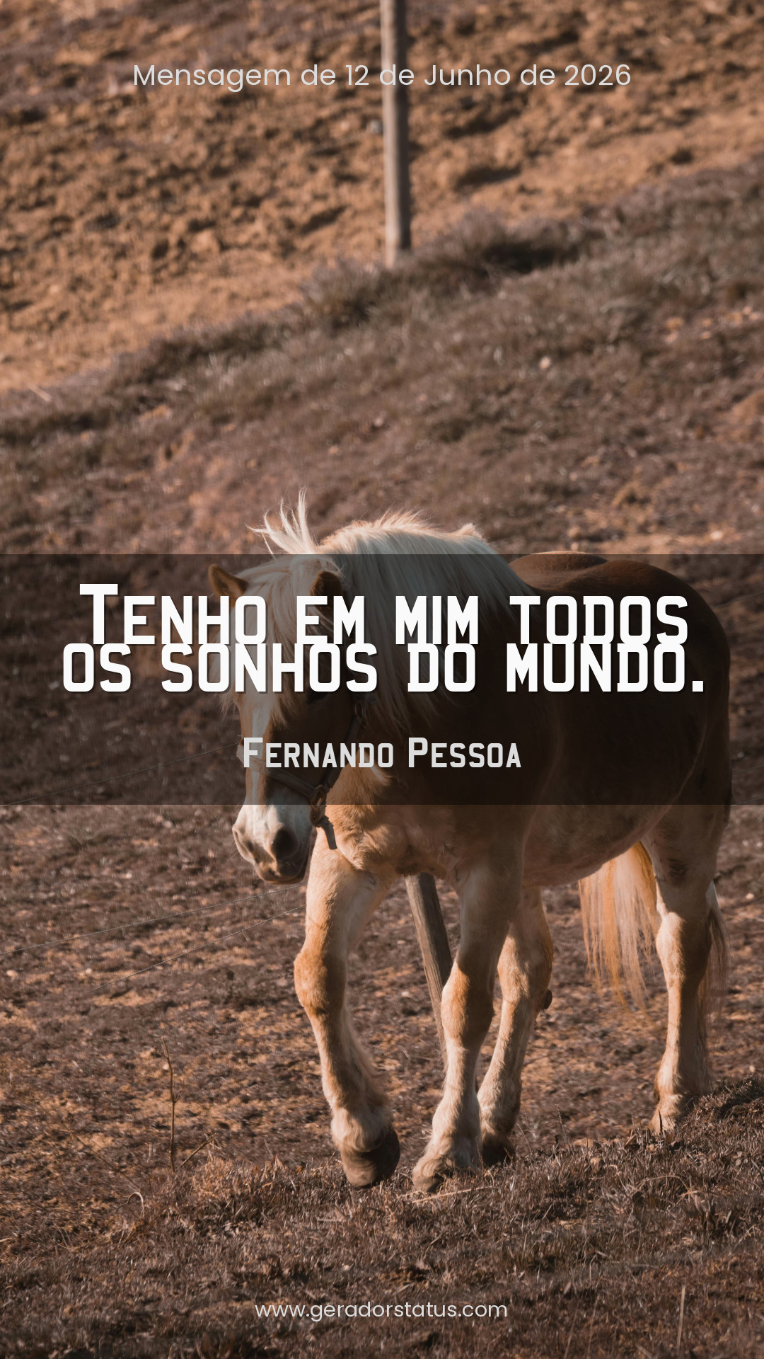Status do dia: Citação
