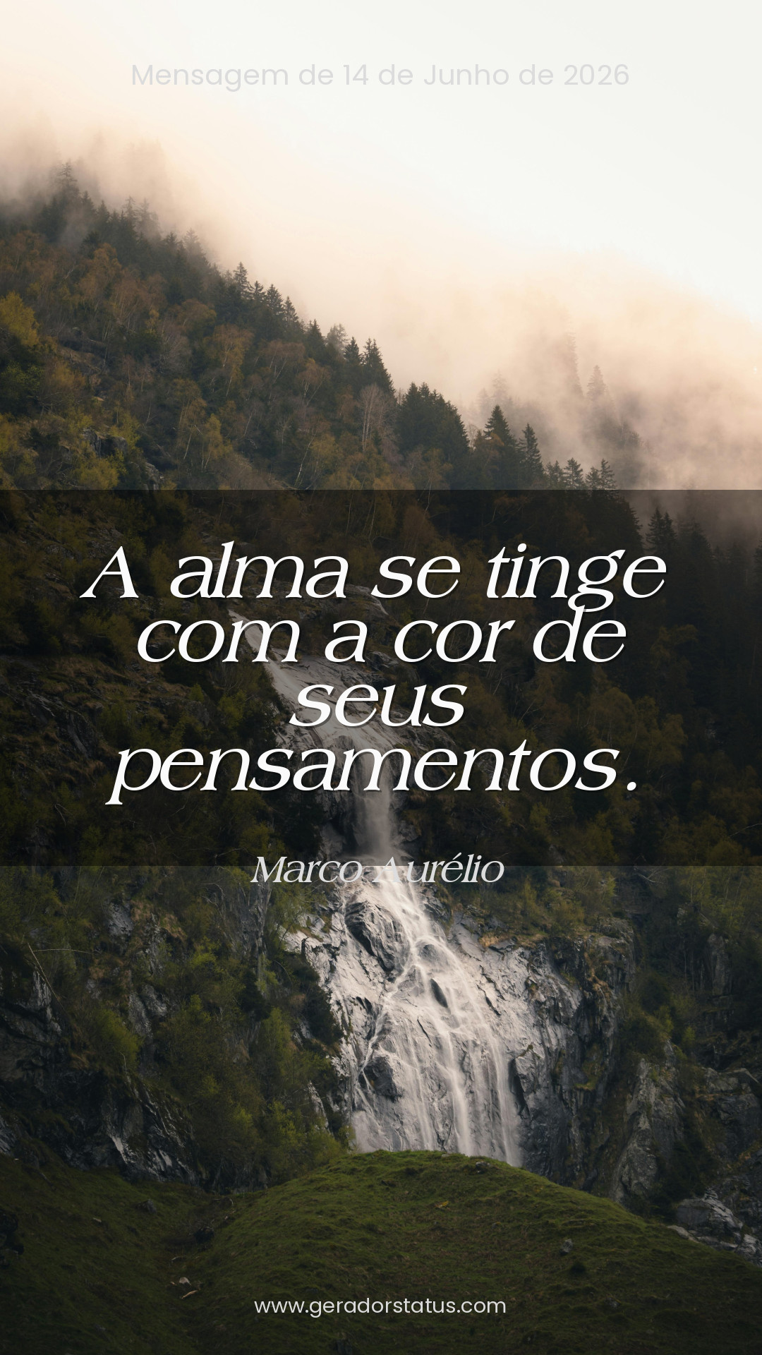 Status do dia: Reflexão